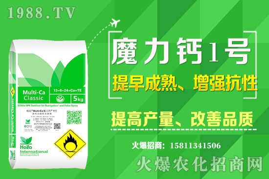 十月下旬適合種植什么中藥材？哪些中藥材賺錢收益高？