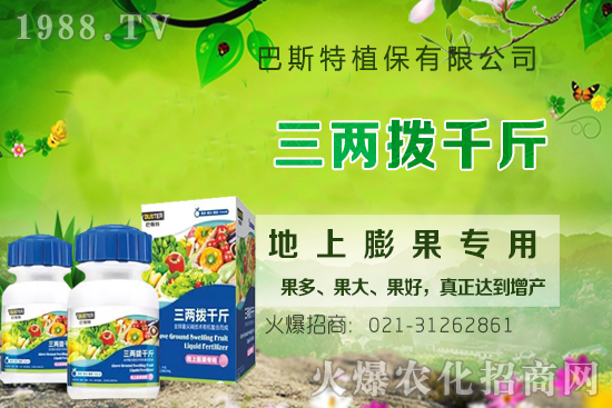 影響牛膝根系的生長(zhǎng)因素有哪些？牛膝生根壯苗用什么葉面肥？