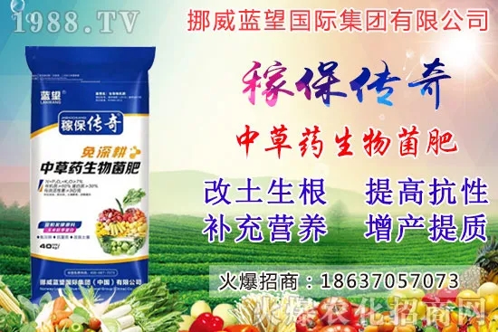 越冬菠菜施肥要注意什么問(wèn)題？越冬菠菜施肥四大原則！