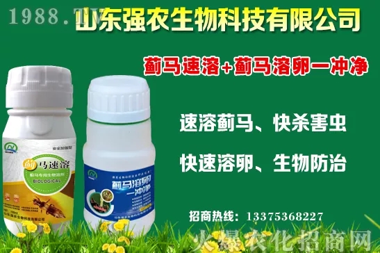 秋冬11月種植什么蔬菜比較合適？蔬菜種植注意事項(xiàng)！