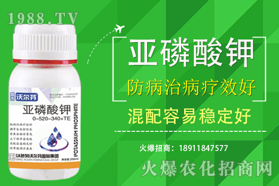 氮磷鉀主要的作用是什么？三者之間有什么關(guān)注？