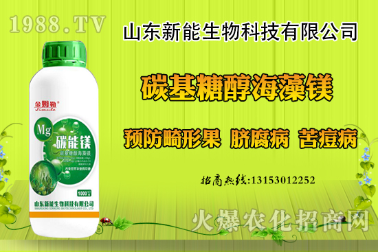 冬季大棚草莓畸形果原因，出現(xiàn)畸形果怎么防治？