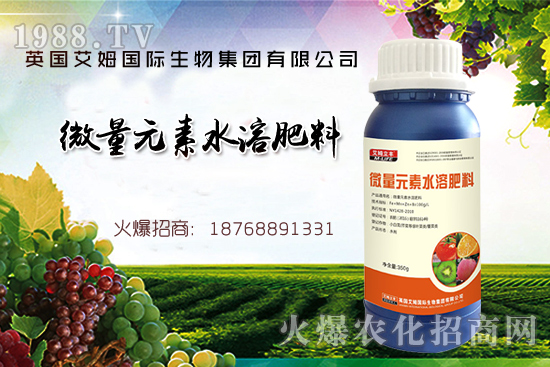 鐵、鋅、硼缺失癥狀，怎么補(bǔ)充作物所需元素？