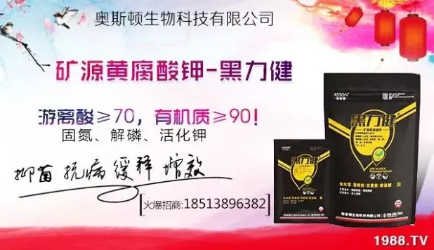 大蒜什么時(shí)間播種？注意事項(xiàng)有哪些？各地大蒜種植時(shí)間表！