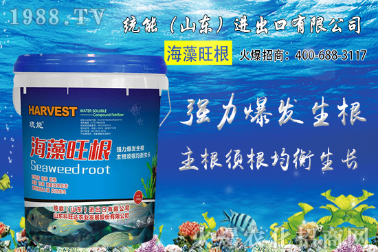 小麥價(jià)格大范圍上漲！預(yù)計(jì)小麥價(jià)格將突破1.25元/斤