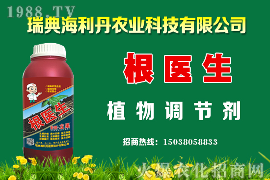 油菜怎么管理能提高產(chǎn)量？油菜抗寒防凍措施有哪些？