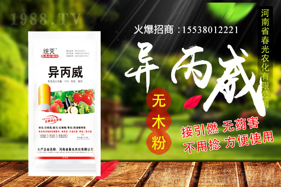 蒜苗種植前景及怎么樣？蒜苗種植要點及田間管理！