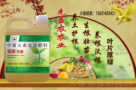 小麥價格多少錢一斤？今日小麥價格行情！