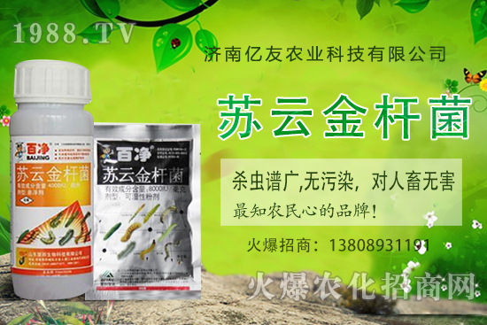 黃桃種植應(yīng)該注意哪些事項(xiàng)？黃桃種植時間及田間管理！