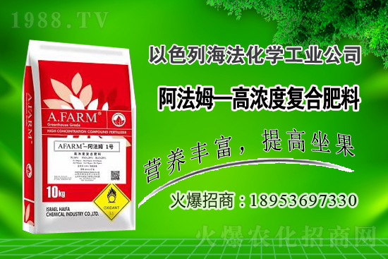 2020年無花果價格多少錢一斤？無花果種植賺錢嗎？