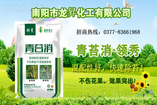 大豆供不應(yīng)求，價格持續(xù)上漲！各地大豆價格行情