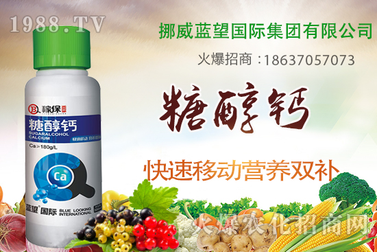 草莓缺鈣有哪些原因呢？草莓缺鈣癥狀及補(bǔ)救措施