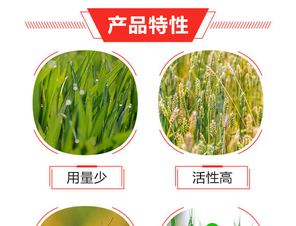 滬聯(lián)焚甲組合裝-滬聯(lián)_05