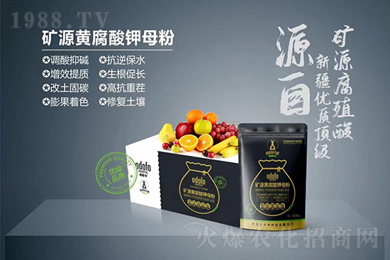 什么是蔬菜冷害？如何提高作物抗凍能力？