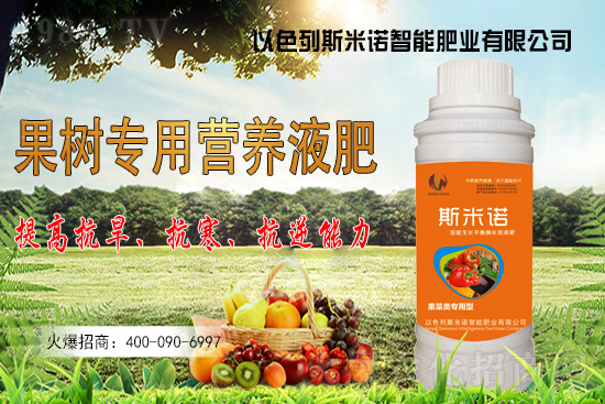 大豆價(jià)格持續(xù)“高漲”？今日東北大豆報(bào)價(jià)一覽！