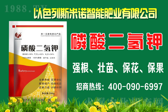 柑橘什么時間施肥？柑橘的施肥時間及用量介紹！