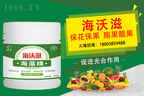 造成草莓果小是什么因素？怎么促進草莓膨果呢？