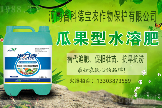 江西贛南臍橙什么時候成熟上市？如何挑選贛南臍橙？