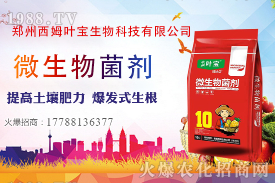     11月7日部分區(qū)域花生價格行情綜述分析！