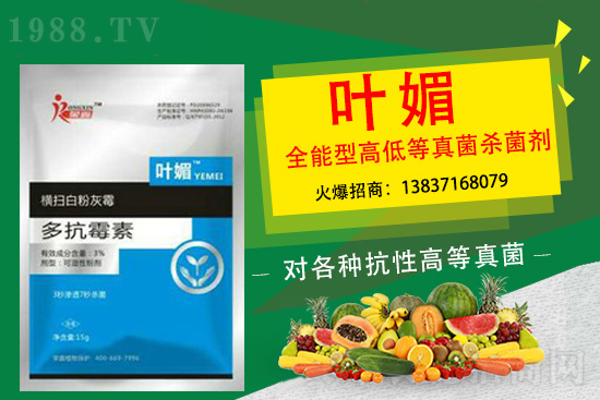 辣椒病害嚴重太難纏，如何輕松解決？