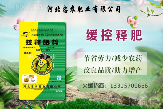 大蒜的產(chǎn)地在哪？種一畝地大蒜要用多少蒜種？畝產(chǎn)量是多少斤？