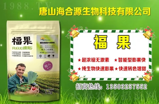 目前小麥?zhǔn)召彾嗌馘X一斤？小麥價格行情如何？