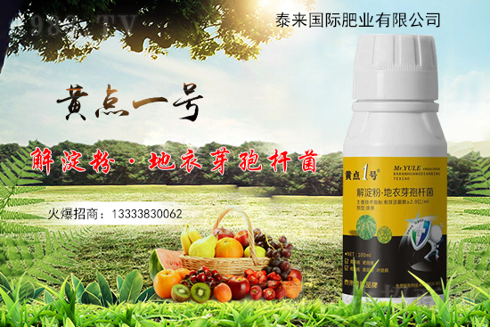 黃瓜葉片起“小黃點(diǎn)”是什么?。糠乐畏桨赣心男?？