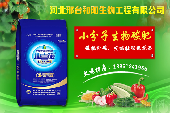 春節(jié)前小麥價(jià)格會(huì)不會(huì)漲？今日小麥價(jià)格行情！