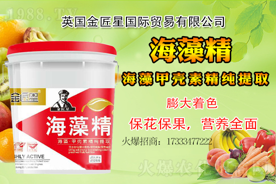 小麥價格還會出現大漲嗎？小麥行情總結！