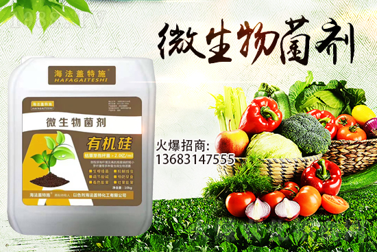 寒潮來襲！大棚持續(xù)低溫，作物生根要點(diǎn)！