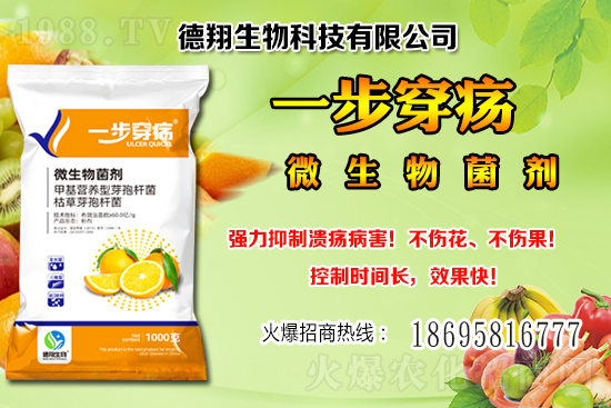 國產(chǎn)大豆價格穩(wěn)中有跌！2020-12-21黑龍江及部分地區(qū)大豆行情！