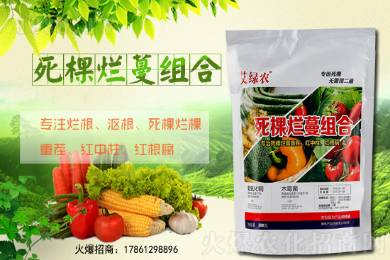 柑橘施肥在什么時間適宜？柑橘樹冬季該怎么管理？