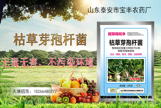 枯草芽孢桿菌能解決作物哪些問(wèn)題？枯草芽孢桿菌在農(nóng)作物上的應(yīng)用！