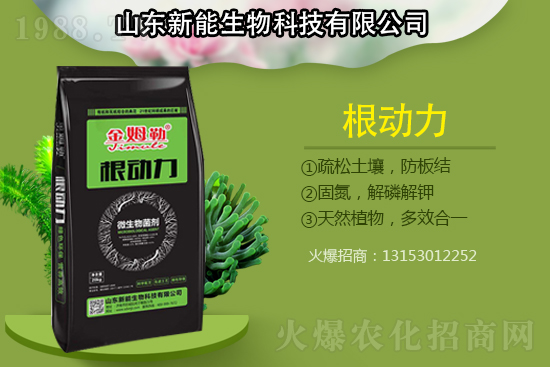 作物根部病害多原因在哪？解決病害生根措施怎么做？