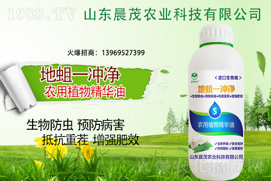 地蛆難防也要治，地蛆的防治要點(diǎn)