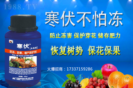 小麥凍害發(fā)生后該怎么辦？補(bǔ)救措施有哪些？小麥凍害和藥害如何區(qū)分？