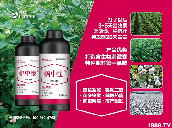 特種肥為什么這么火？有什么特點之處？