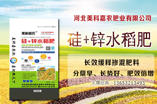 2020-12-24日國(guó)內(nèi)各地區(qū)小麥價(jià)格行情