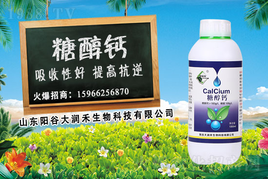 作物補(bǔ)鈣為什么要選擇糖醇鈣？糖醇鈣使用時期及使用效果！