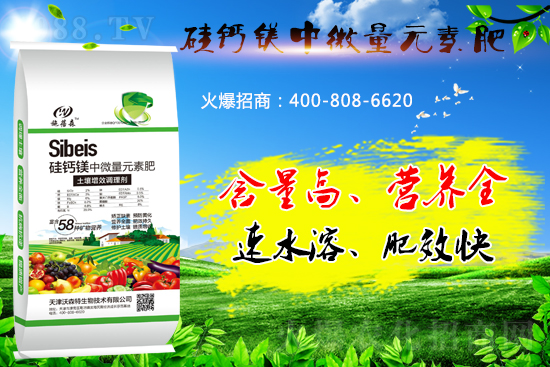 硅鈣鎂元素肥你了解多少？好處有哪些？