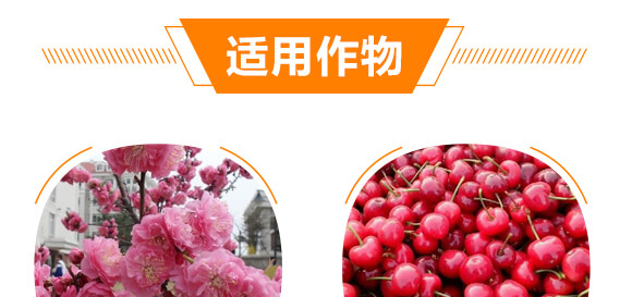 有機(jī)水溶肥料-多肽氮肥-一畫農(nóng)業(yè)_09