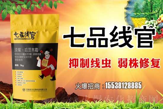     白菜根結(jié)線蟲危害極大！抓緊防治！白菜根結(jié)線蟲有效藥劑推薦！