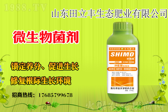 板藍根該如何種植？板藍根種植前景和效益怎么樣？