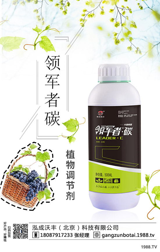 種植空心菜如何提高產(chǎn)量？這些種植方法要知道！