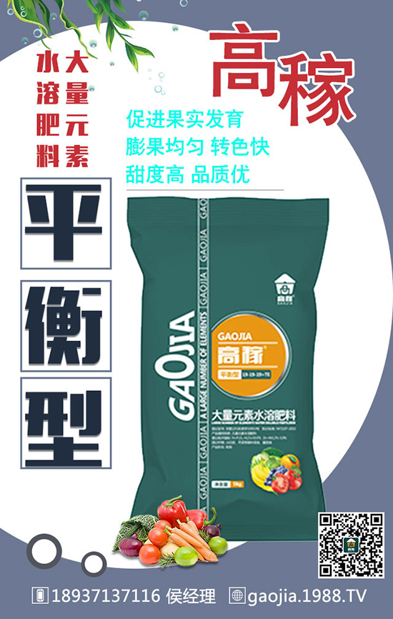 春季種植絲瓜的需肥過(guò)程和施肥技術(shù)