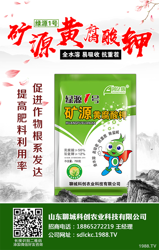 大棚番茄春季該如何澆水？大棚番茄的澆水方法(建議收藏)