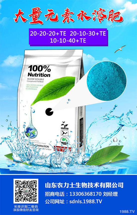 大棚番茄春季該如何澆水？大棚番茄的澆水方法(建議收藏)