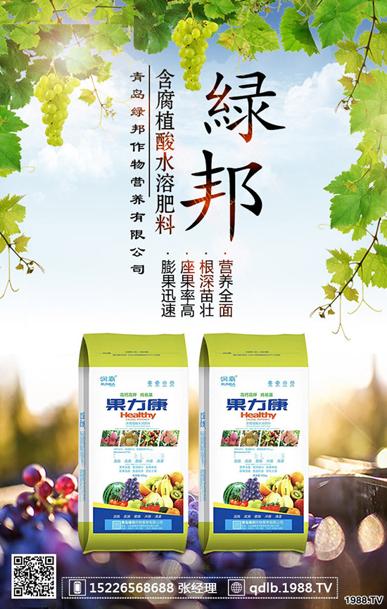 春季菠菜怎樣施肥好？種植菠菜如何科學(xué)施肥