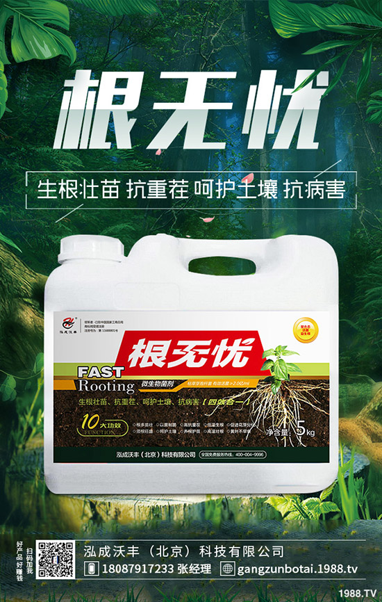 豆角鉆心蟲危害大、抗性大怎么辦？豆角鉆心蟲綜合防治！