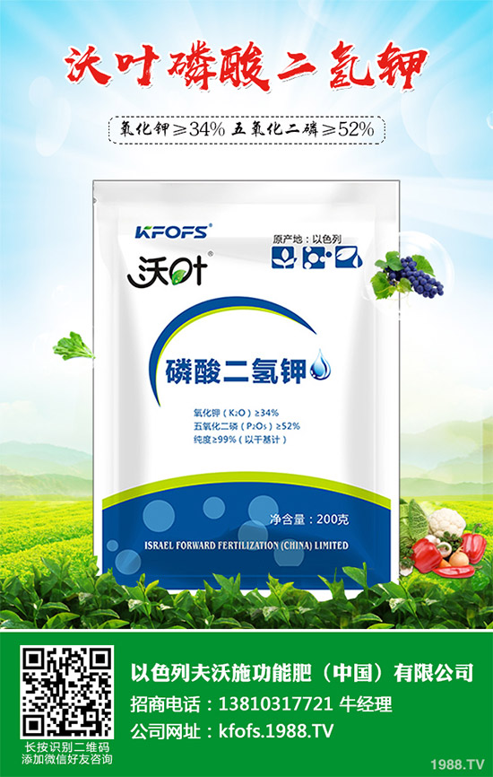 韭菜育苗需要移栽嗎？春季韭菜育苗移栽的注意事項(xiàng)